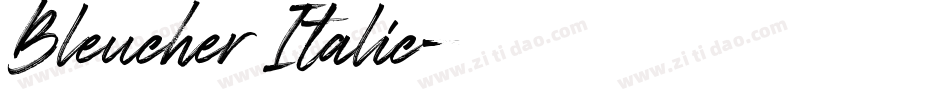 Bleucher Italic字体转换